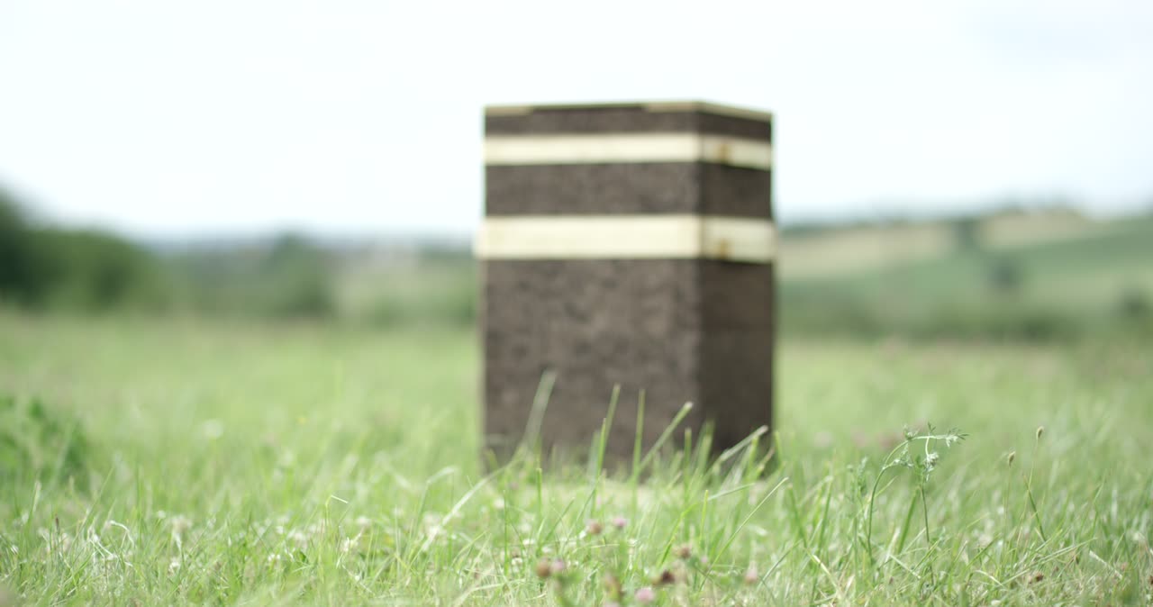 Bienenstock aus Kork auf einer grünen Wiese im Freien